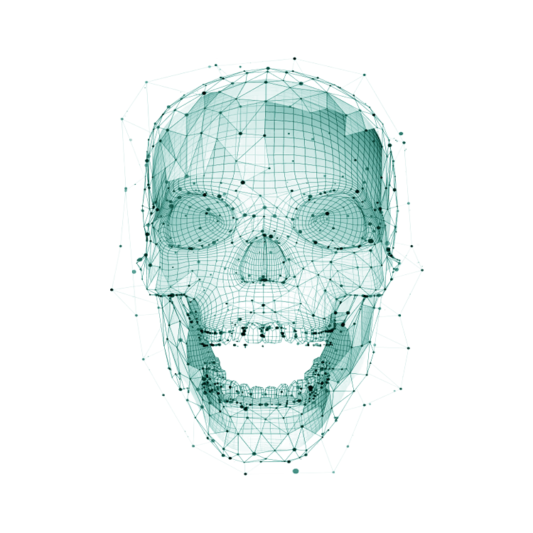 3D cranial device model
